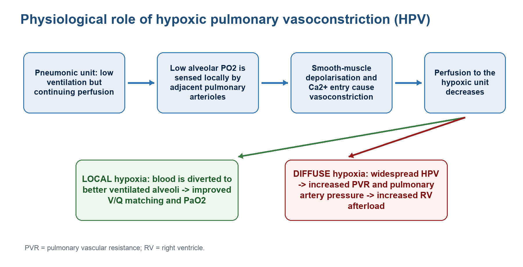 Flow diagram showing the local benefit and diffuse cost of hypoxic pulmonary vasoconstriction